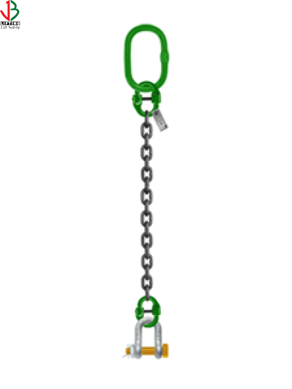 ONE LEG CHAIN SLING WITH SHACKLE Safe & Secure Trading Company